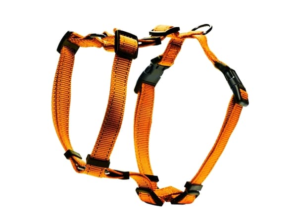 DOGMAN H-sele Iris oransje 25mm