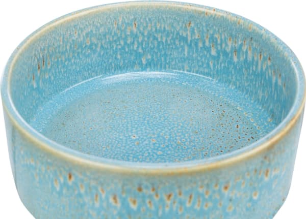 Trixie Ceramic bowl, 0.9 l/ø 16 cm, blue