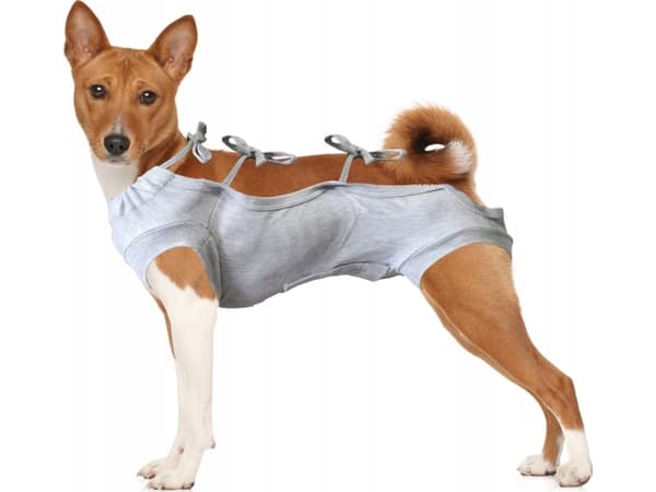 Grande Finale GF WET POST-OPERATIV T-SKJORTE HUND 7 (GRÅ) 70CM WET1/7DOG(S)