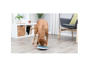 Trixie Rocking Bowl Slow Feeding, plastic/TPR, 0.5l/ø23cm,grey/blue