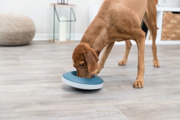 Trixie Rocking Bowl Slow Feeding, plastic/TPR, 0.5l/ø23cm,grey/blue