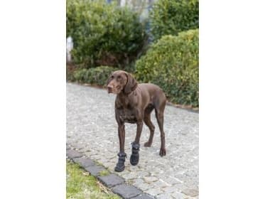 Trixie Walker Active Long protective boots, XL, 2 pcs., black