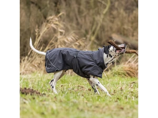 Calvi, frakk, til hund, svart, M: 45 cm