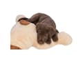 Miniatyrbilde 4 av 5: TRIXIE Benny, Hund, Plysj, Beige, Brun, Plysj, 750 mm