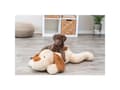 Miniatyrbilde 5 av 5: TRIXIE Benny, Hund, Plysj, Beige, Brun, Plysj, 750 mm