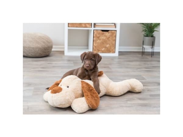 TRIXIE Benny, Hund, Plysj, Beige, Brun, Plysj, 750 mm