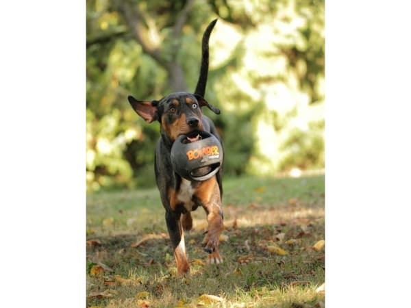 Zeus Ball ZS Xtreme Bomber, Mini, 11,5 cm