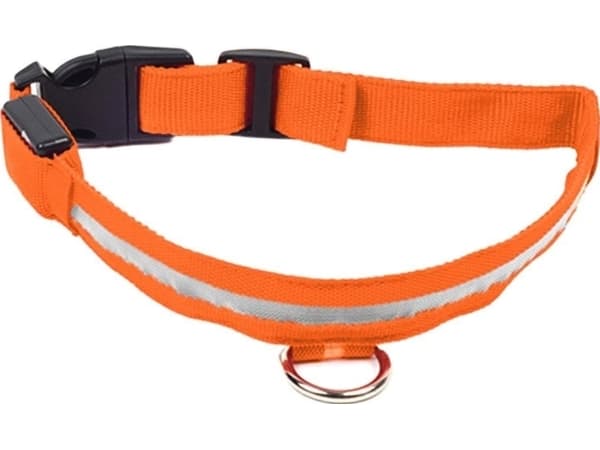 ATL AG232C Självlysande led-halsband 34-42cm orang