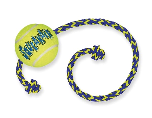 KONG Kong tennispallo köydellä M