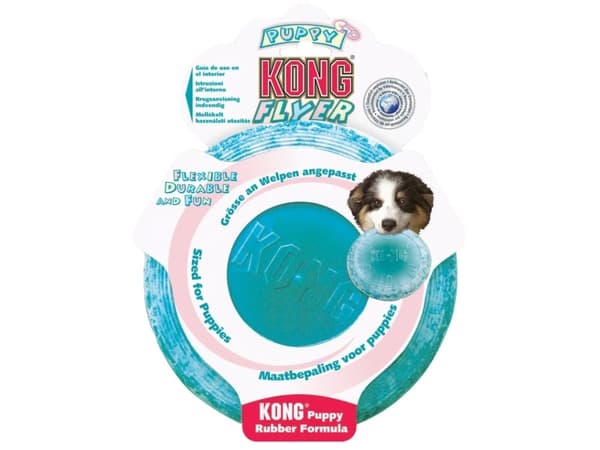KONG Kong pentu flyer (freesbee)