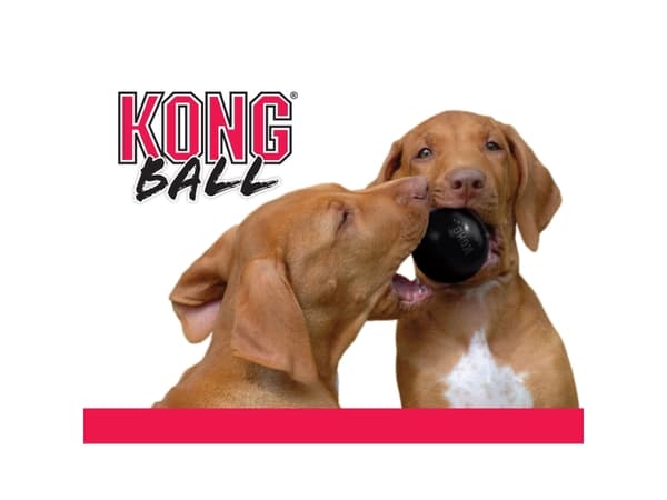KONG Extreme ball Small - koiran lelu