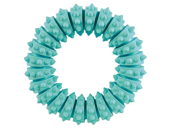 Trixie DENTAfun ring m. mint Ø12,5 cm
