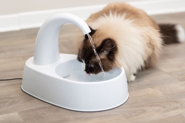 Trixie Curved Stream drinking fountain, 2.5 l/25×24.5×35cm, white