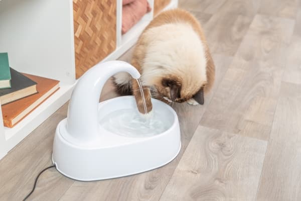 Trixie Curved Stream drinking fountain, 2.5 l/25×24.5×35cm, white