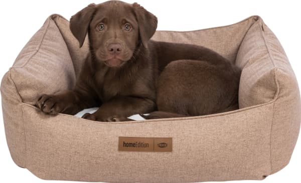 Trixie Farello bed, square, 60 × 50 cm, brown/white