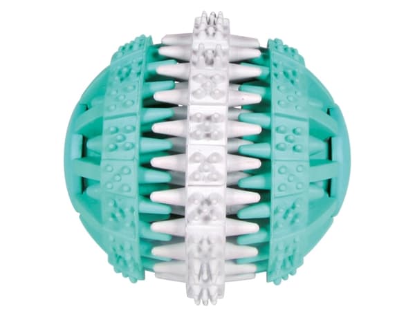 Trixie DENTAfun Mintfresh Bold 6cm