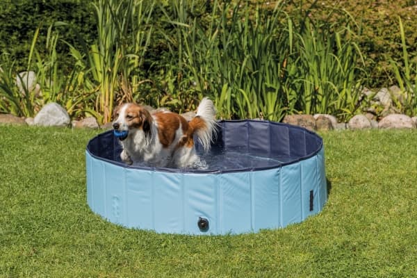 Trixie Hunde Pool, ø 70 × 12 cm, lyseblå/blå