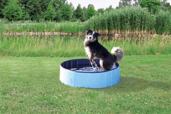 Trixie Hunde Pool, ø 70 × 12 cm, lyseblå/blå