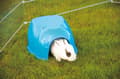 Miniatyrbilde 1 av 5: Savic Cocoon Standard colours