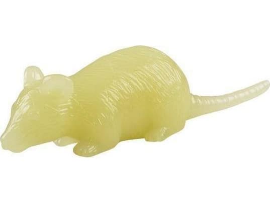 Duvo+ Duvo+ Tpr Leksak Råtta/Katt Självlysande på natten 10x7x4cm