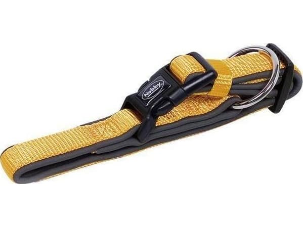 Nobby Classic Preno, Universal, Vanligt halsband, Orange, Neopren, Nylon, Monokromatiskt, M-L