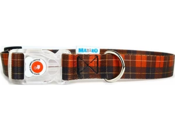 Matteo MATTEO COLLAR WITH A BUCKLE LED CHECKE 20mm/35-50cm