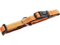 Miniatyrbilde 2 av 2: Nobby 78511-04, Hund, Standard krage, Oransje, Nylon, S-M, 20 mm