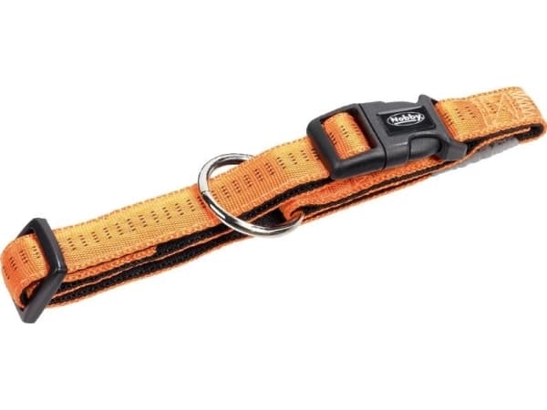 Nobby 78511-04, Hund, Standard krage, Oransje, Nylon, S-M, 20 mm