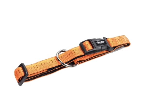 Nobby 78511-04, Hund, Standard krage, Oransje, Nylon, S-M, 20 mm