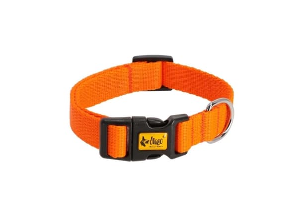 Dingo Dingo Justerbar Krage Energi 2,5/55cm Oransje