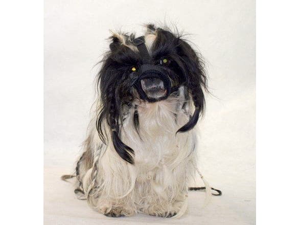 Grande Finale munkorg för pekingeser storlek 2 (15-20cm)