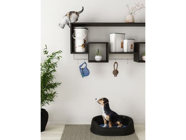 Curver/Keter Säilytysastia Curver PetLife 10kg/23l