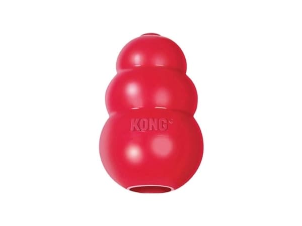 KOIRANLELU 500166
