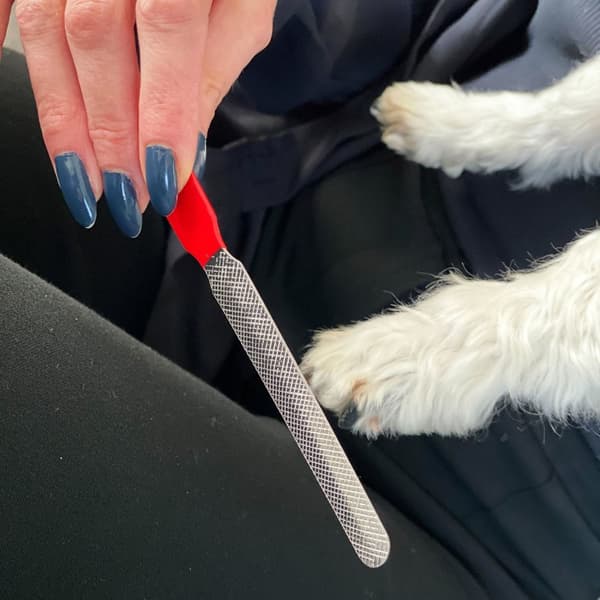 Praktisk uppsättning saxar i rostfritt stål för hundklor, nagelfil för grooming av medelstora och stora hundar