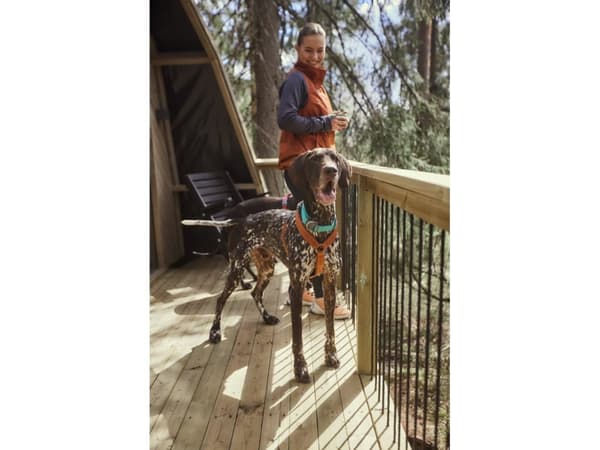 Hurtta Casual Y-harness ECO, 45-55 cm, cinnamon