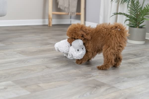 Trixie Monkey, plush, recycled, 40 cm