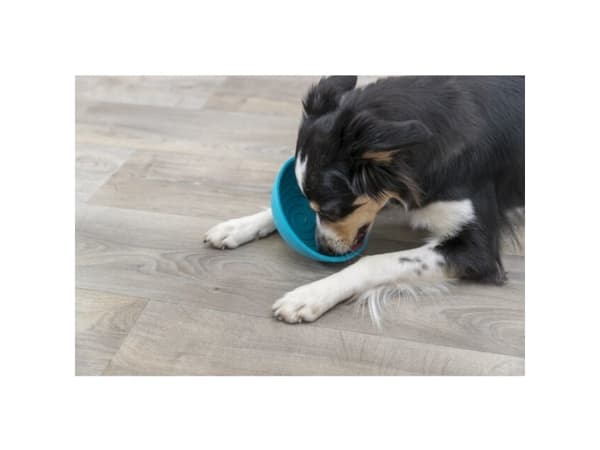 Trixie Lick'n'Snack bowl, silicone, ø 16 cm