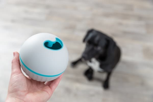 Trixie Snack ball, plastic, ø 11 cm, grey