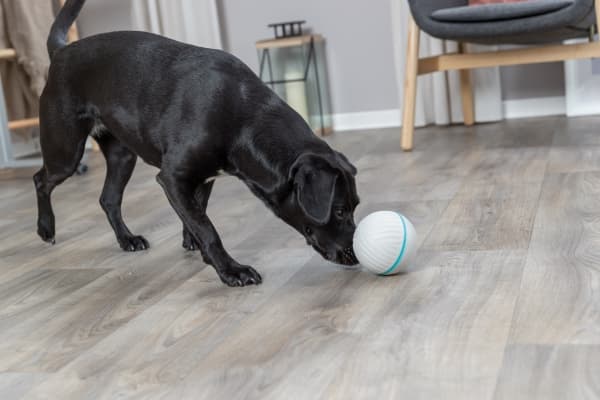 Trixie Snack ball, plastic, ø 11 cm, grey