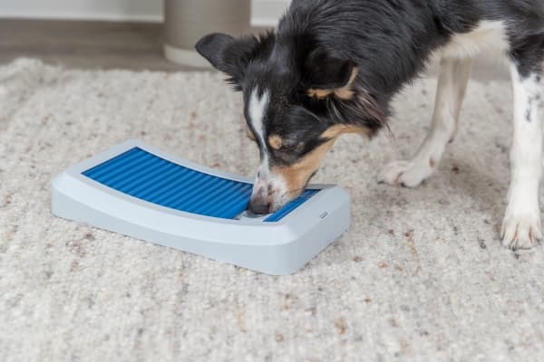 Trixie Dog Activity Rod Board, plastic, 35 × 19.5 cm