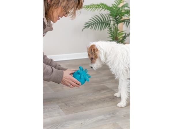 Trixie Snack-Octopus, TPR, 11 cm