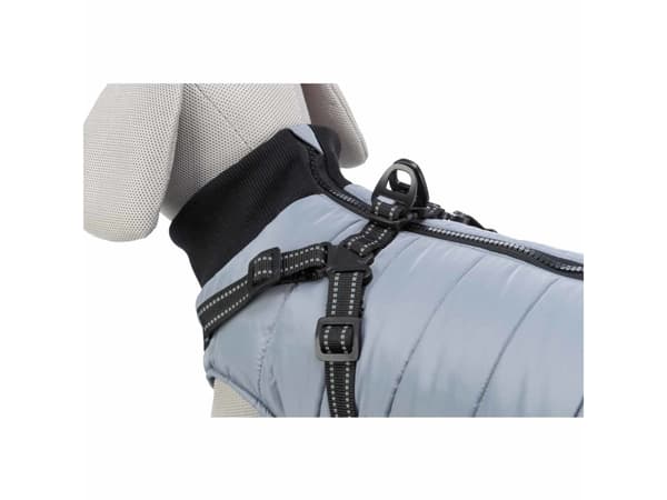 Trixie Pontis harness coat, S: 36 cm, grey