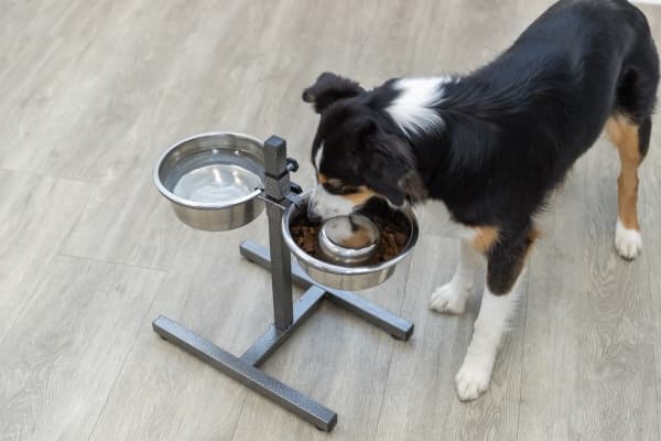 Trixie Slow Feeding bowl, stainless steel, 1.1 l/ø 21 cm