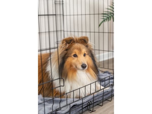 Trixie Home kennel, M–L: 93 × 69 × 62 cm, black