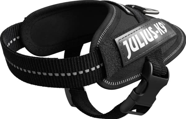 Julius-K9 K9 IDC sele, str.: Baby 1, sort 29-36 cm
