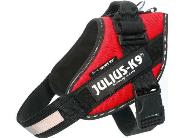 Julius-K9 K9 IDC valjaat, koko: 0, punainen 58-76 cm
