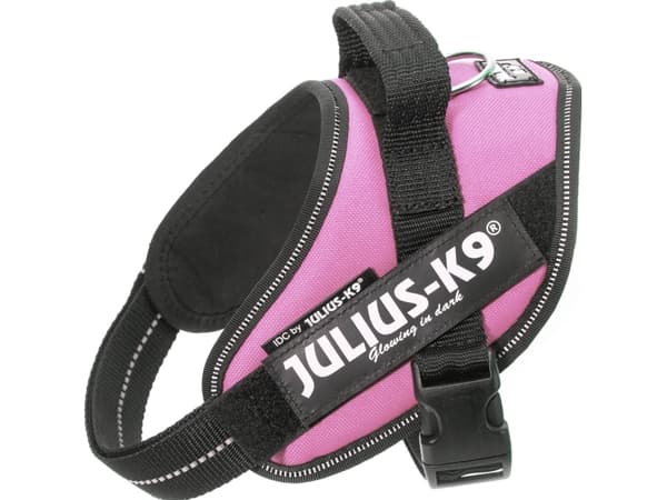 Julius-K9 K9 IDC sele, str.: Mini, pink 49-67 cm