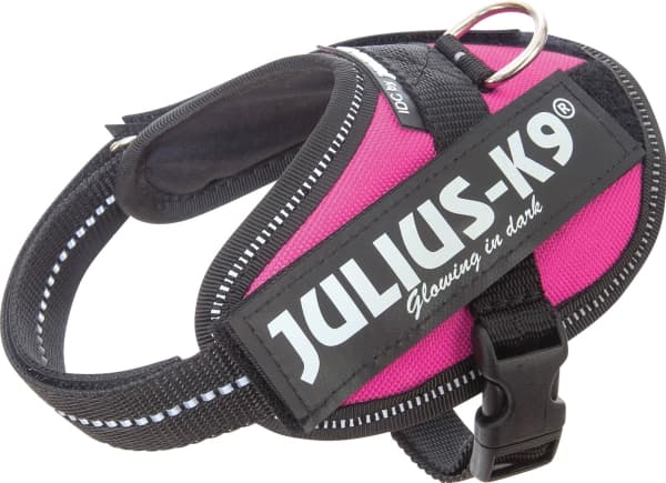 Julius-K9 K9 IDC valjaat, koko: Baby 1, tumman vaaleanpunainen, 29-36 cm