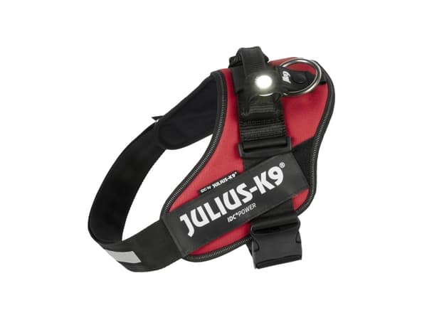 Julius-K9 JK9 Led Spot