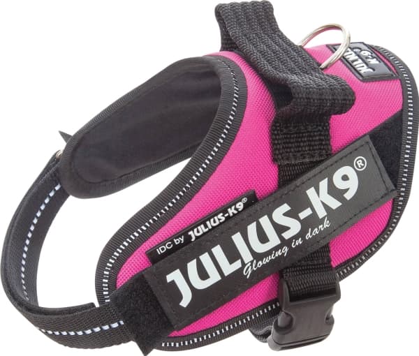 Julius-K9 K9 IDC valjaat, koko: Mini-Mini, tumman pinkki, 40-53 cm